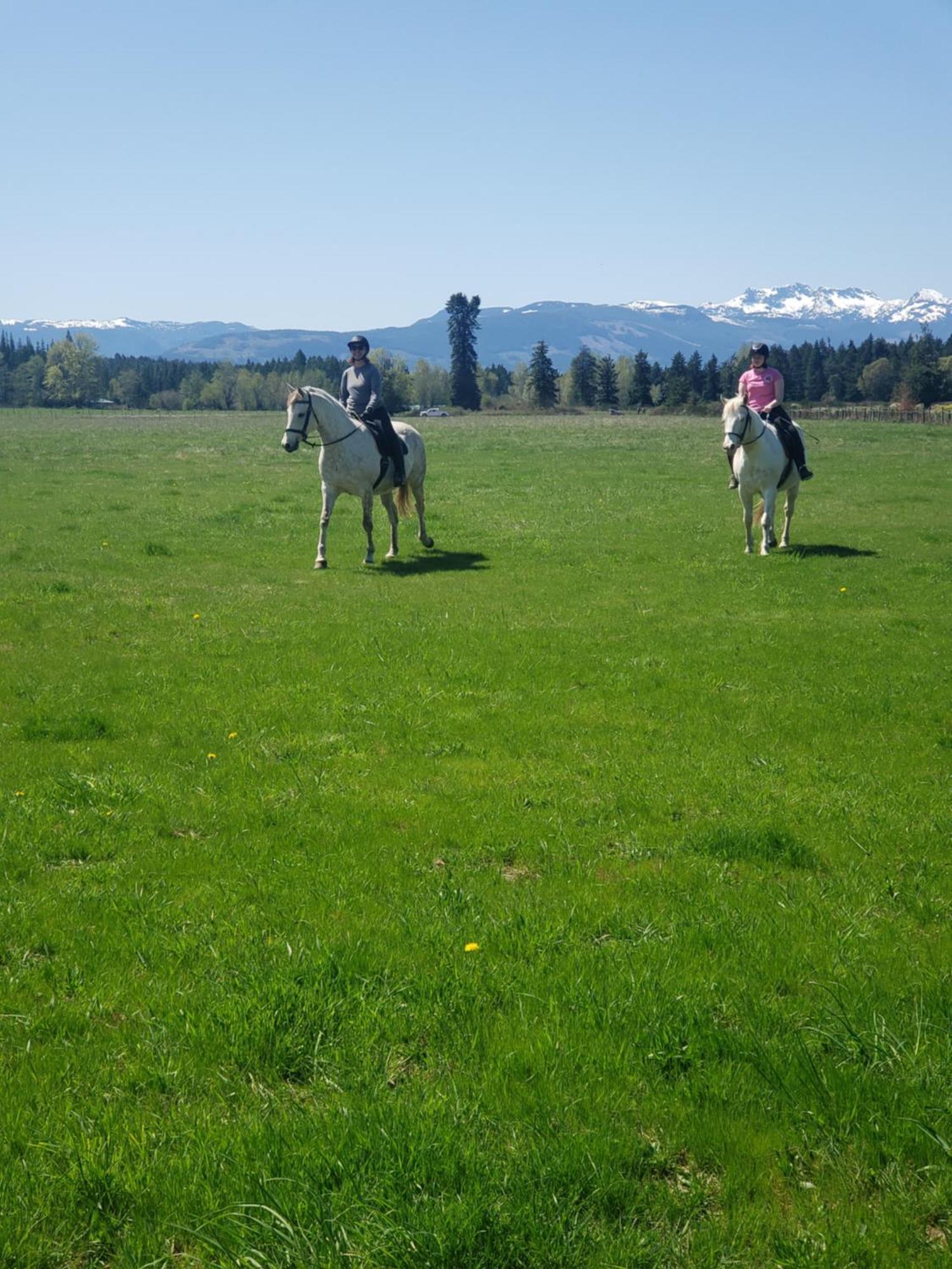 Paradise Acres Ranch Nanoose Bay ภายนอก รูปภาพ