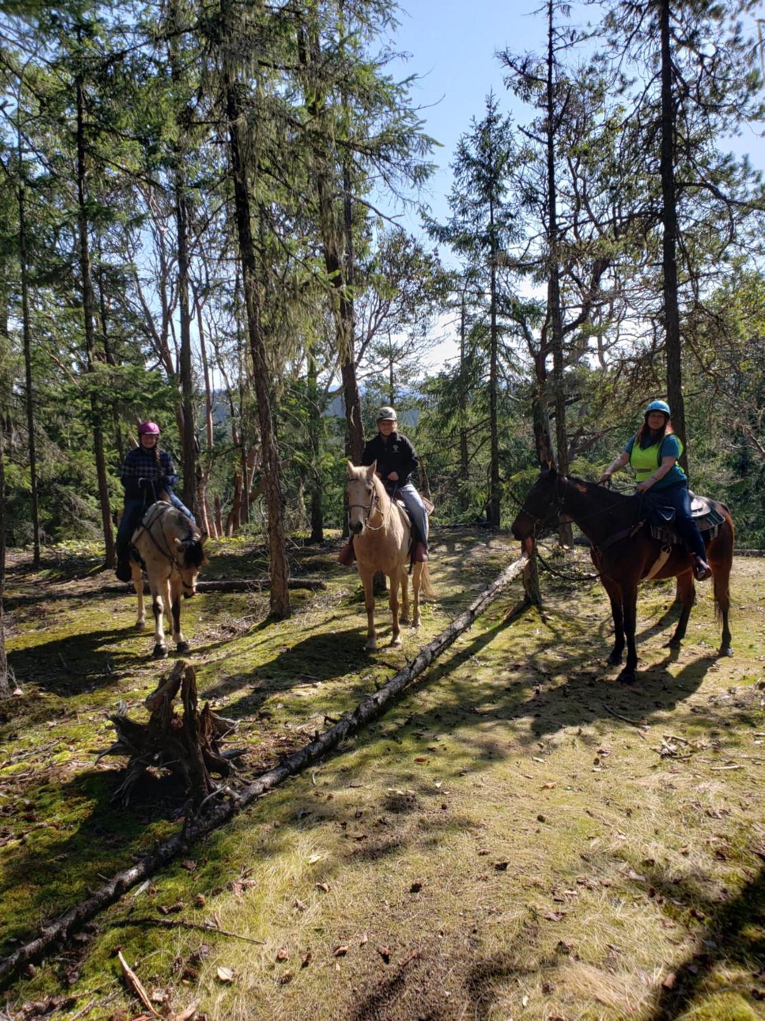 Paradise Acres Ranch Nanoose Bay ภายนอก รูปภาพ