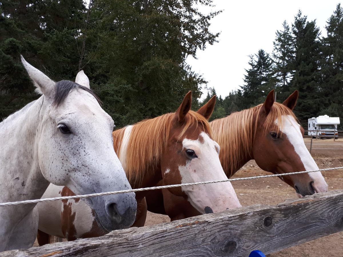Paradise Acres Ranch Nanoose Bay ภายนอก รูปภาพ