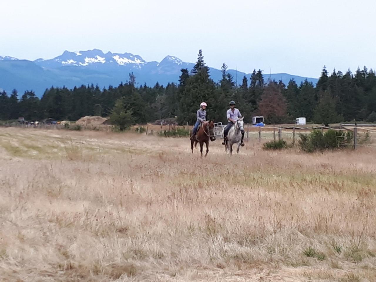 Paradise Acres Ranch Nanoose Bay ภายนอก รูปภาพ