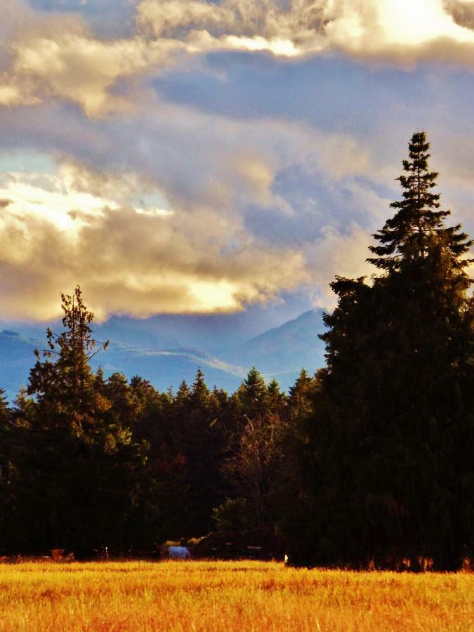 Paradise Acres Ranch Nanoose Bay ภายนอก รูปภาพ