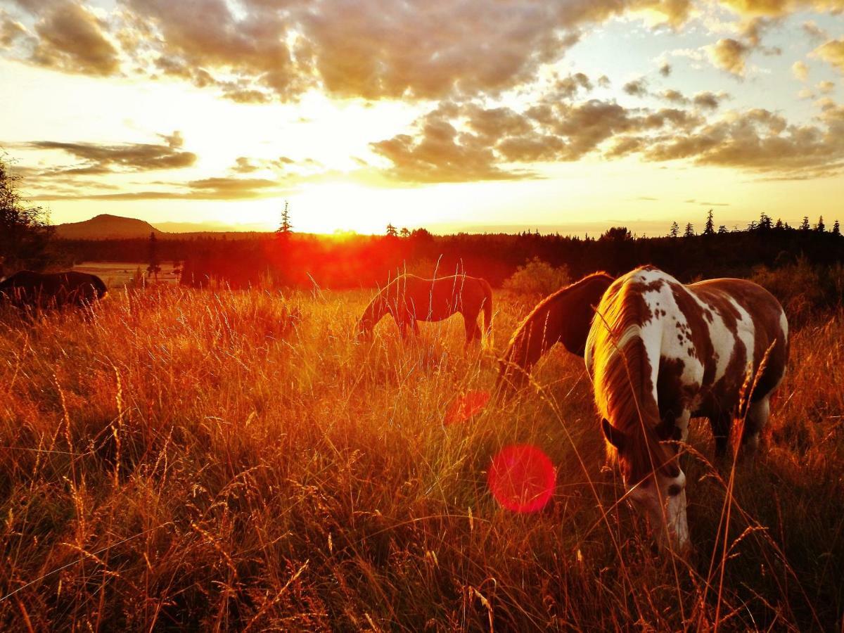 Paradise Acres Ranch Nanoose Bay ภายนอก รูปภาพ